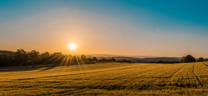 discover Diani,for sale